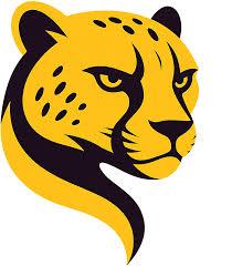Cheetah Tool Credit Any Quantity
